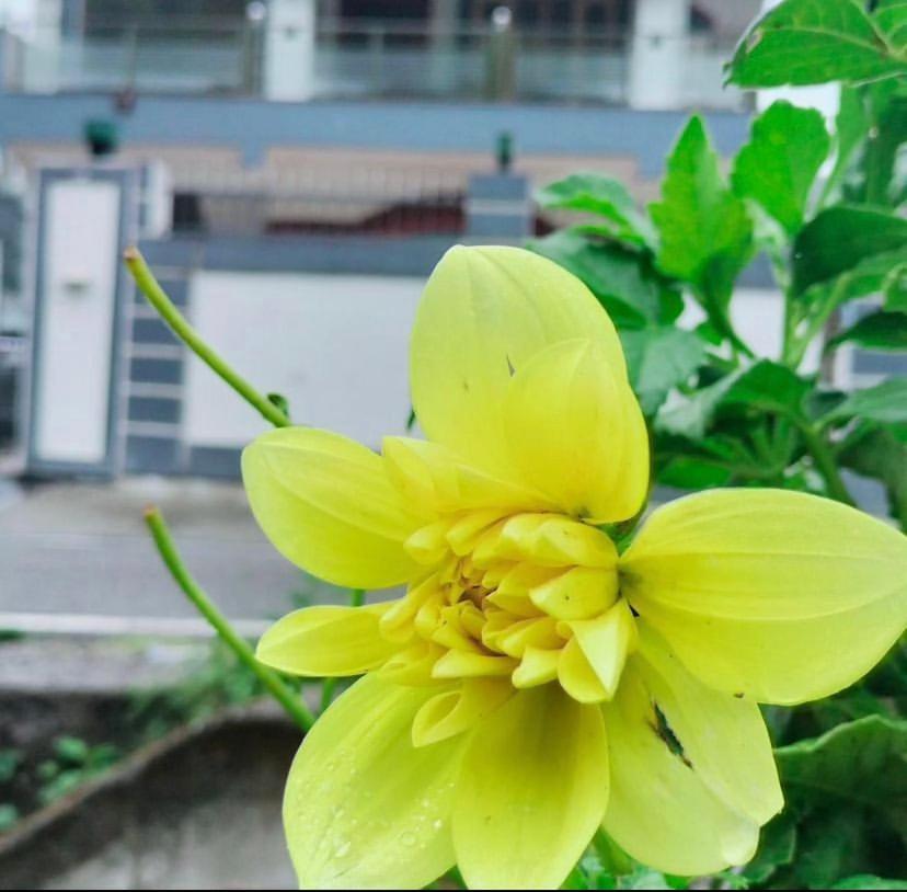 Maldevta Retreat Home 데라둔 외부 사진